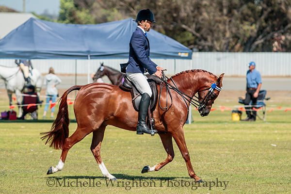Collie Agricultural Show, Horse and Rider- Equestrian Event Photography
