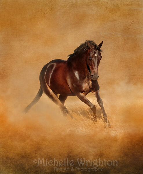 Sweet Serenity Fine Art Horse Print by Michelle Wrighton