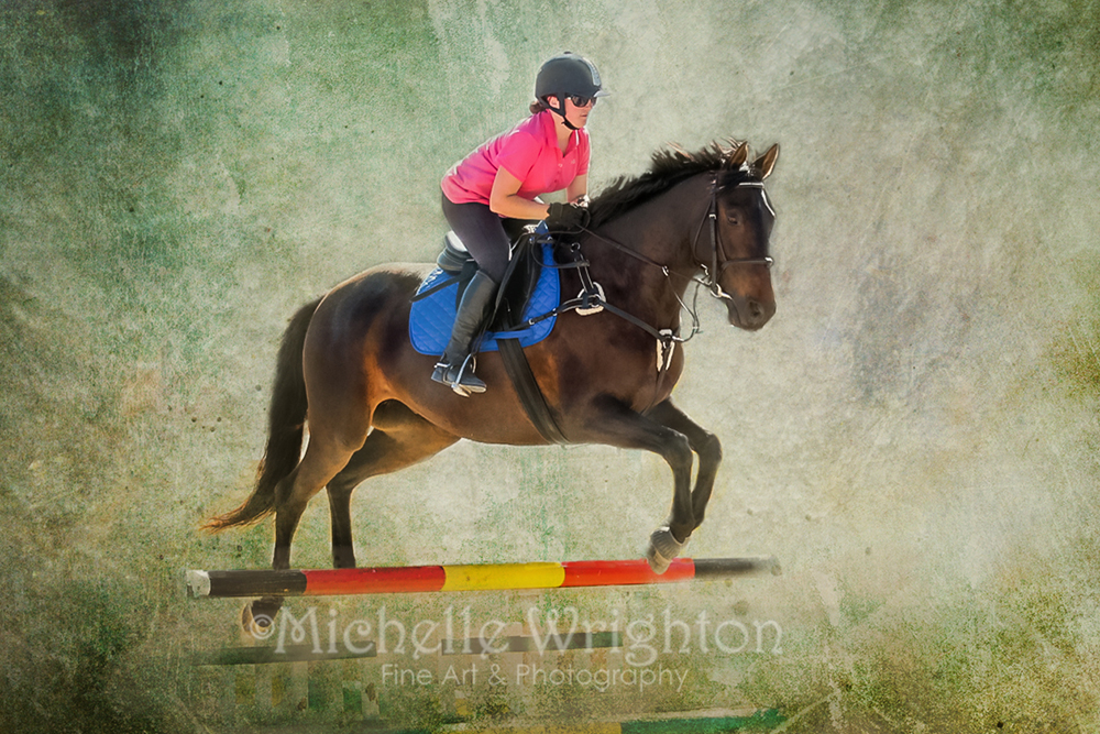 Equine photography Michelle Wrighton wm-jackson-1