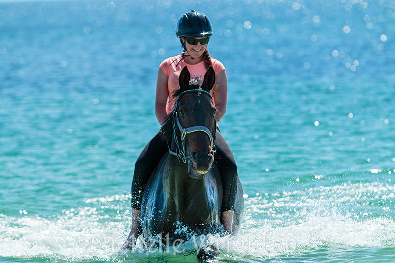 Equine photography Michelle Wrighton Horse beach girl water photography session