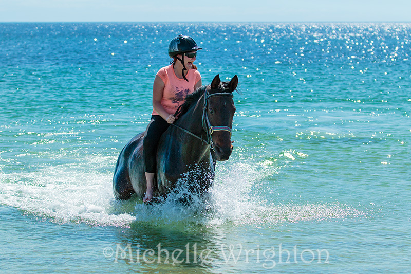 Equine photography Michelle Wrighton Horse beach girl water photography session