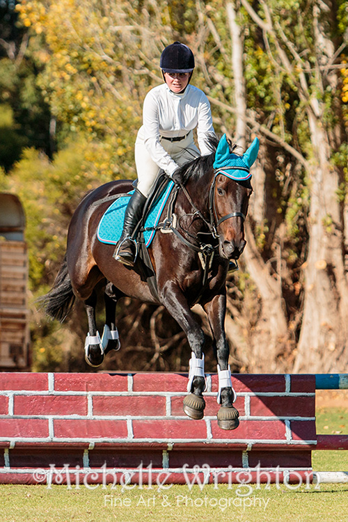 Warren Agricultural Show 2016 Equestrian Event - Show Jumping - Horse photography Michelle Wrighton