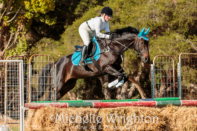 Warren Agricultural Show 2016 Equestrian Event - Show Jumping - Horse photography Michelle Wrighton