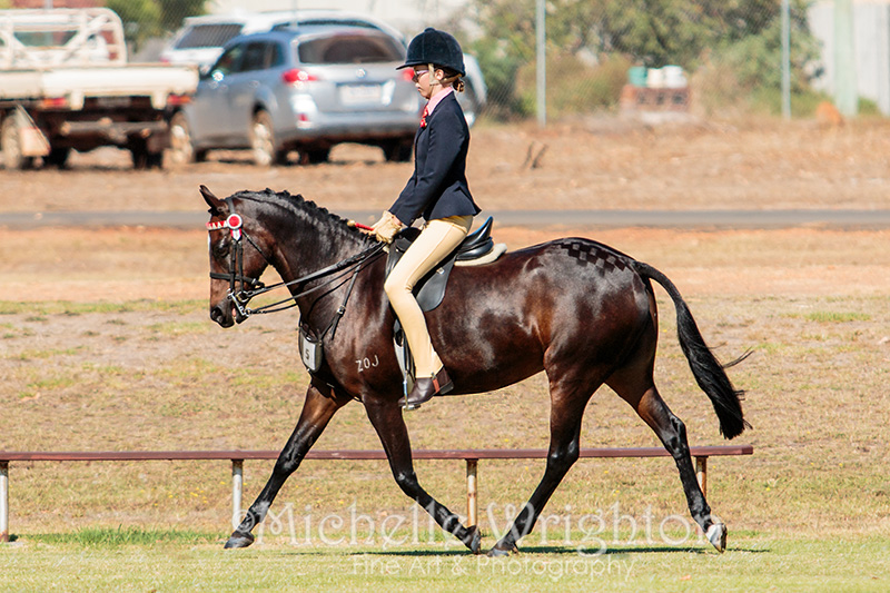 Warren Agricultural Show 2016 Equestrian Event - Dressage - Horse photography Michelle Wrighton