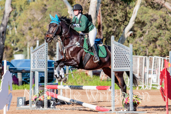 Equine photography Michelle Wrighton horse photographer Murray ODE Show Jumping PC 65