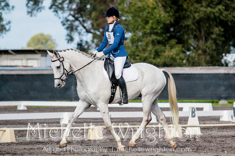 Equine photography Michelle Wrighton horse dressage eventing dardanup ode