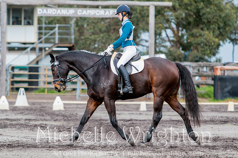 Equine photography Michelle Wrighton horse eventing dardanup ode dressage