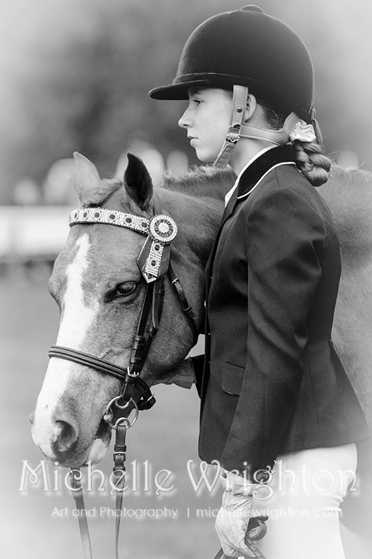 Bunbury Showhorse Equine photography Michelle Wrighton horse photography