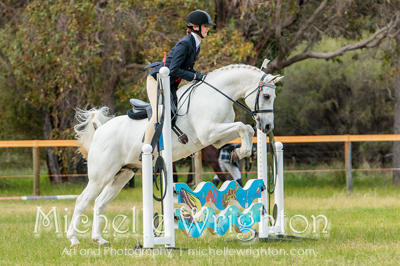 Equine photography Michelle Wrighton horse photography Bunbury Showjumping 60-70cm