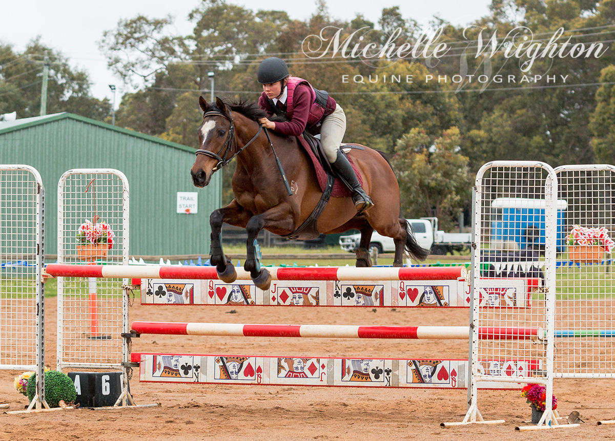 Dardanup Horse and Pony Club Tip Top Showjumping 2016 115cm