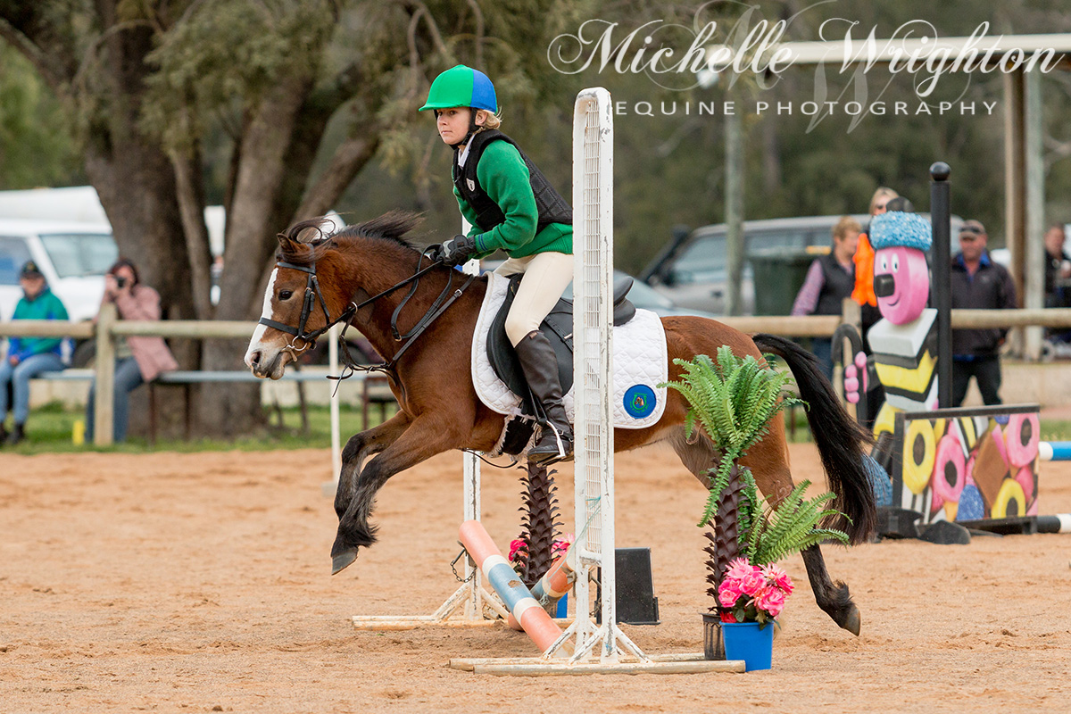 Dardanup Horse and Pony Club Tip Top Showjumping 2016 45cm