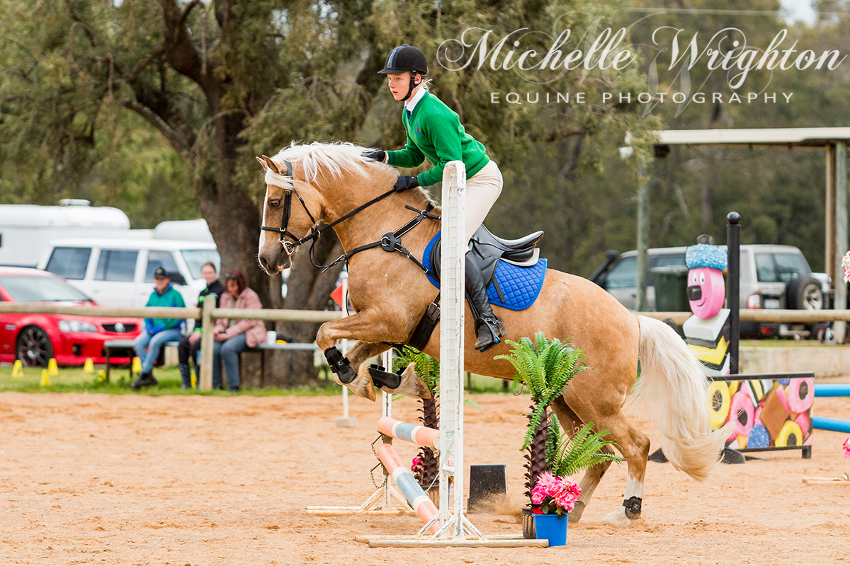 Dardanup Horse and Pony Club Tip Top Showjumping 2016 55cm