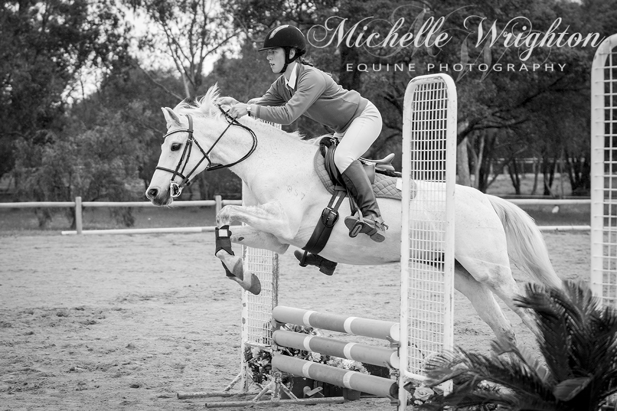 Dardanup Horse and Pony Club Tip Top Showjumping 2016 65cm
