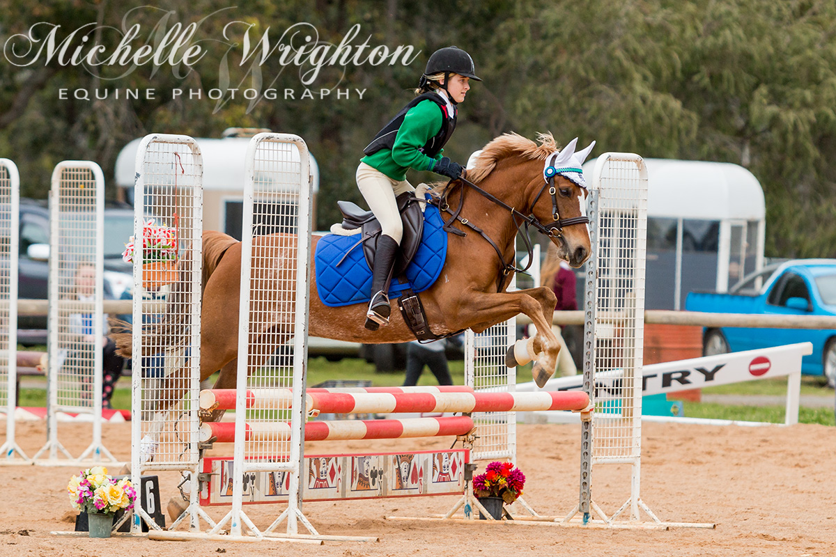 Dardanup Horse and Pony Club Tip Top Showjumping 2016 75cm