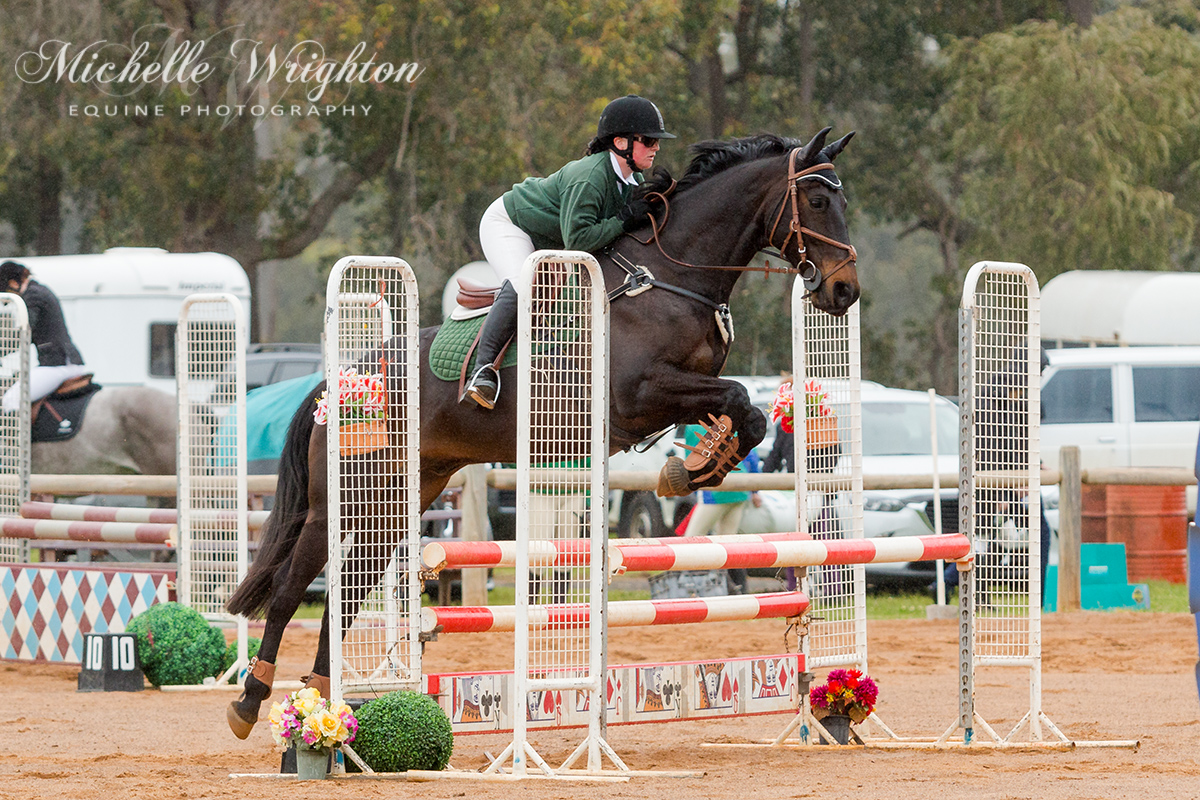 Dardanup Horse and Pony Club Tip Top Showjumping 2016 85cm