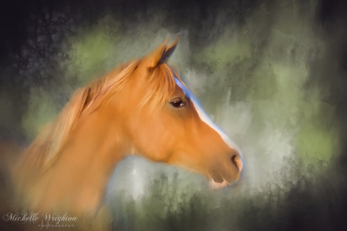 Inspiration - Horse Art artistic edit