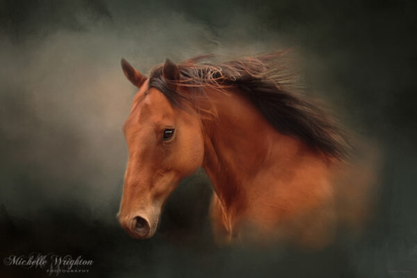 The Wind Of Heaven Michelle Wrighton Equine Photography artistic edit