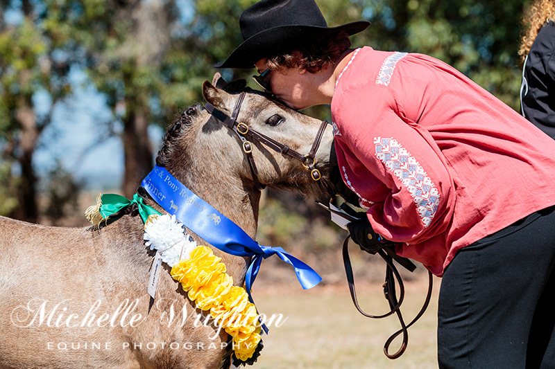 AMR South West Championship Show Miniature Horse