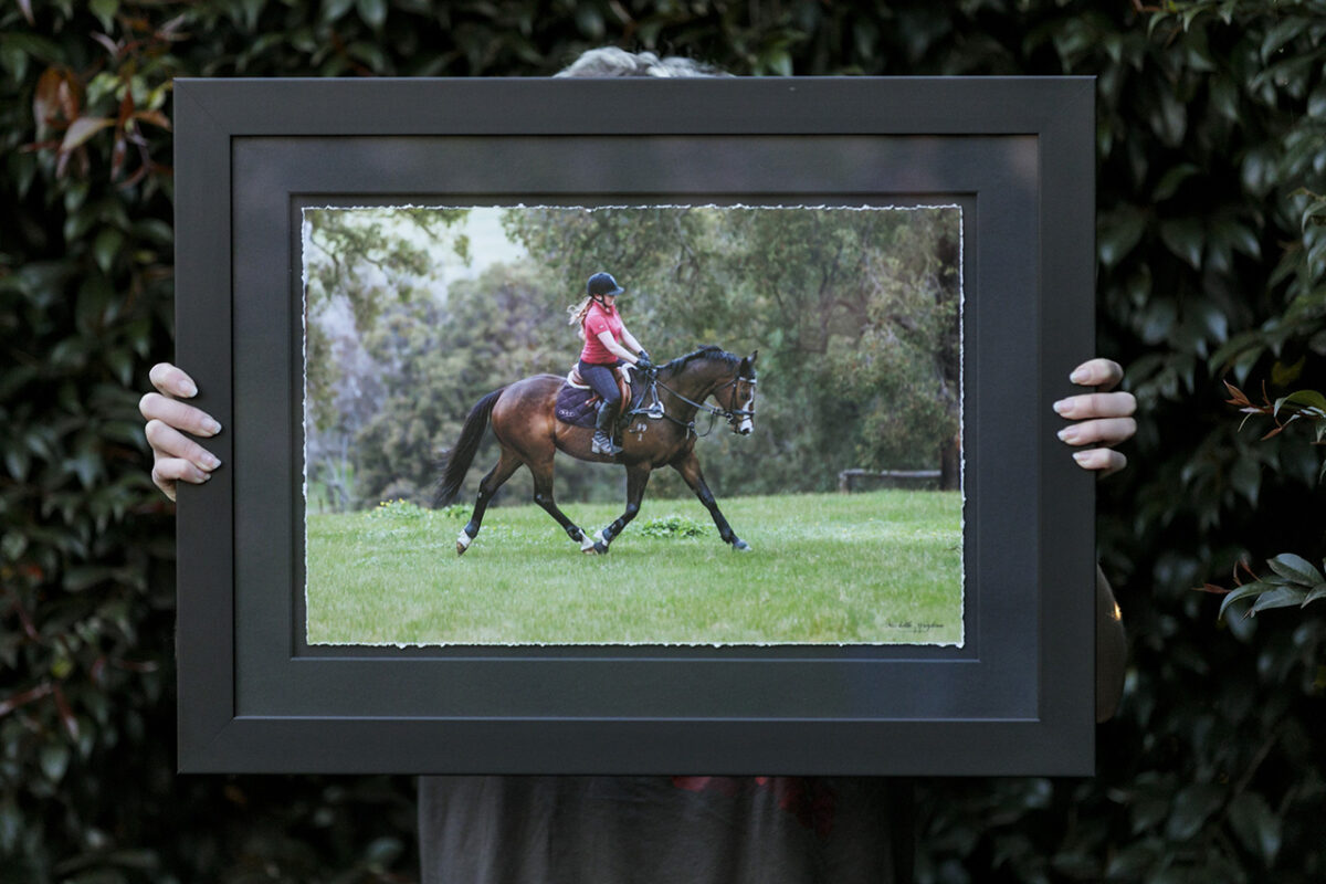 Float mount torn edge framed horse photograph