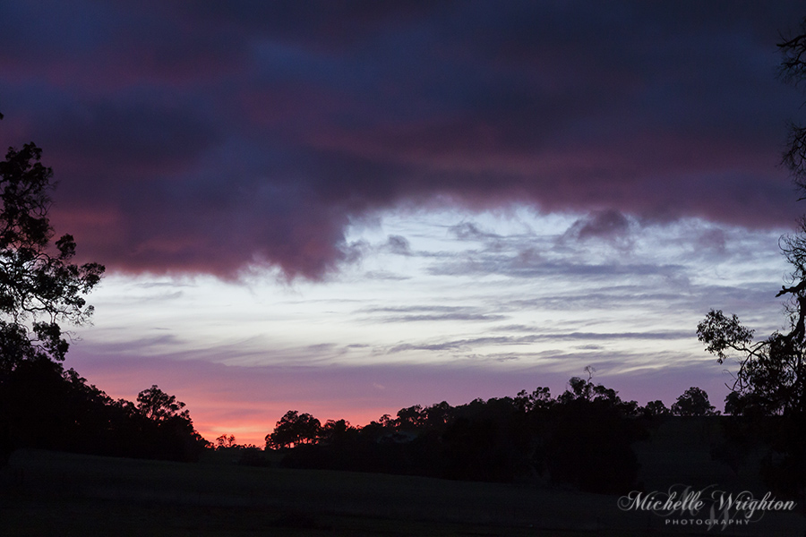 our front yard at dawn