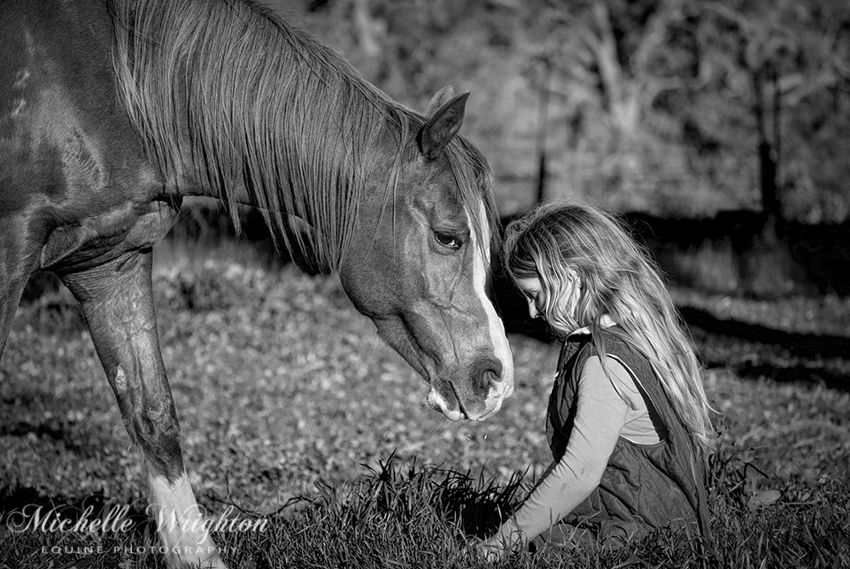 Horse and Child Photograph