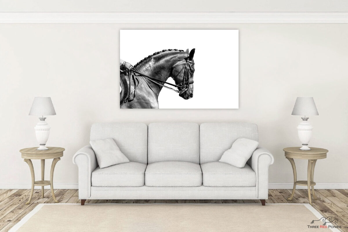 Large black and white horse wall art - finished artwork