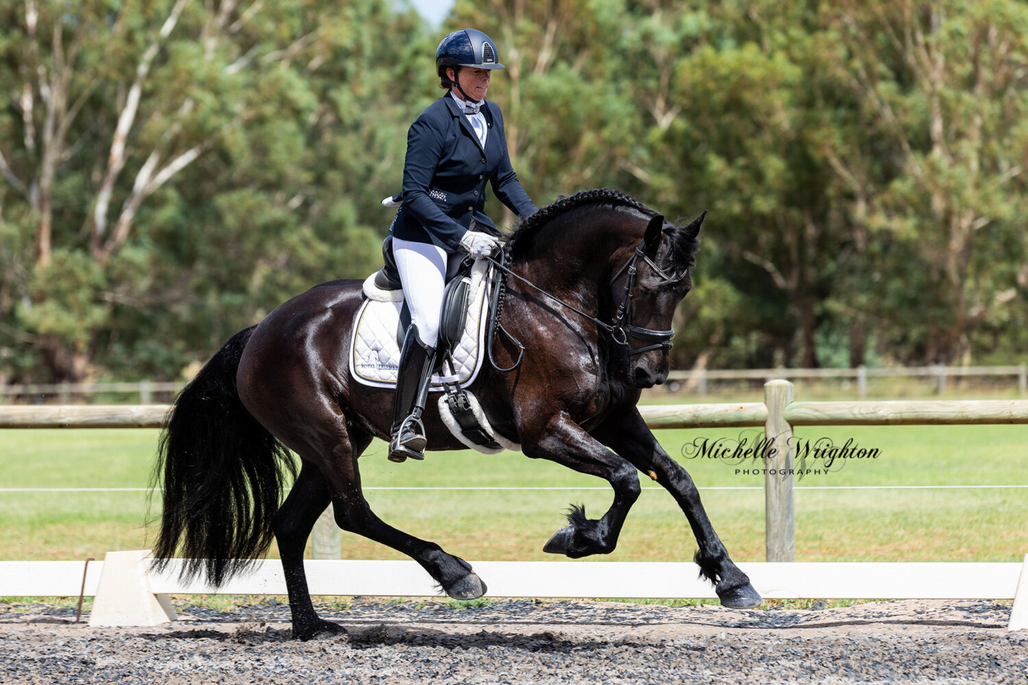 So Special KP and Jenny Veenstra IBOP 2019 Friesian horse Keuring