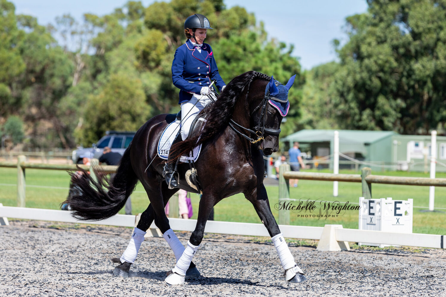 Freestyle Dressage Friesian Keuring Fenne S.R. of Kendal Park Friesians