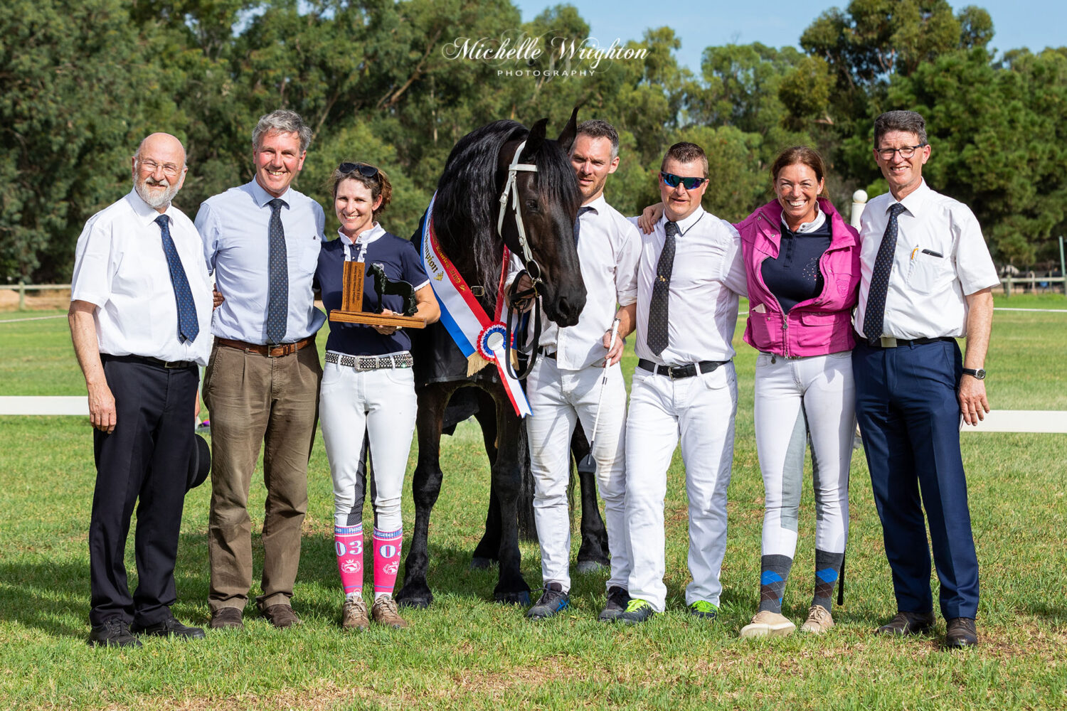 Champion Friesian mare So Special KP at the WA 2019 Keuring