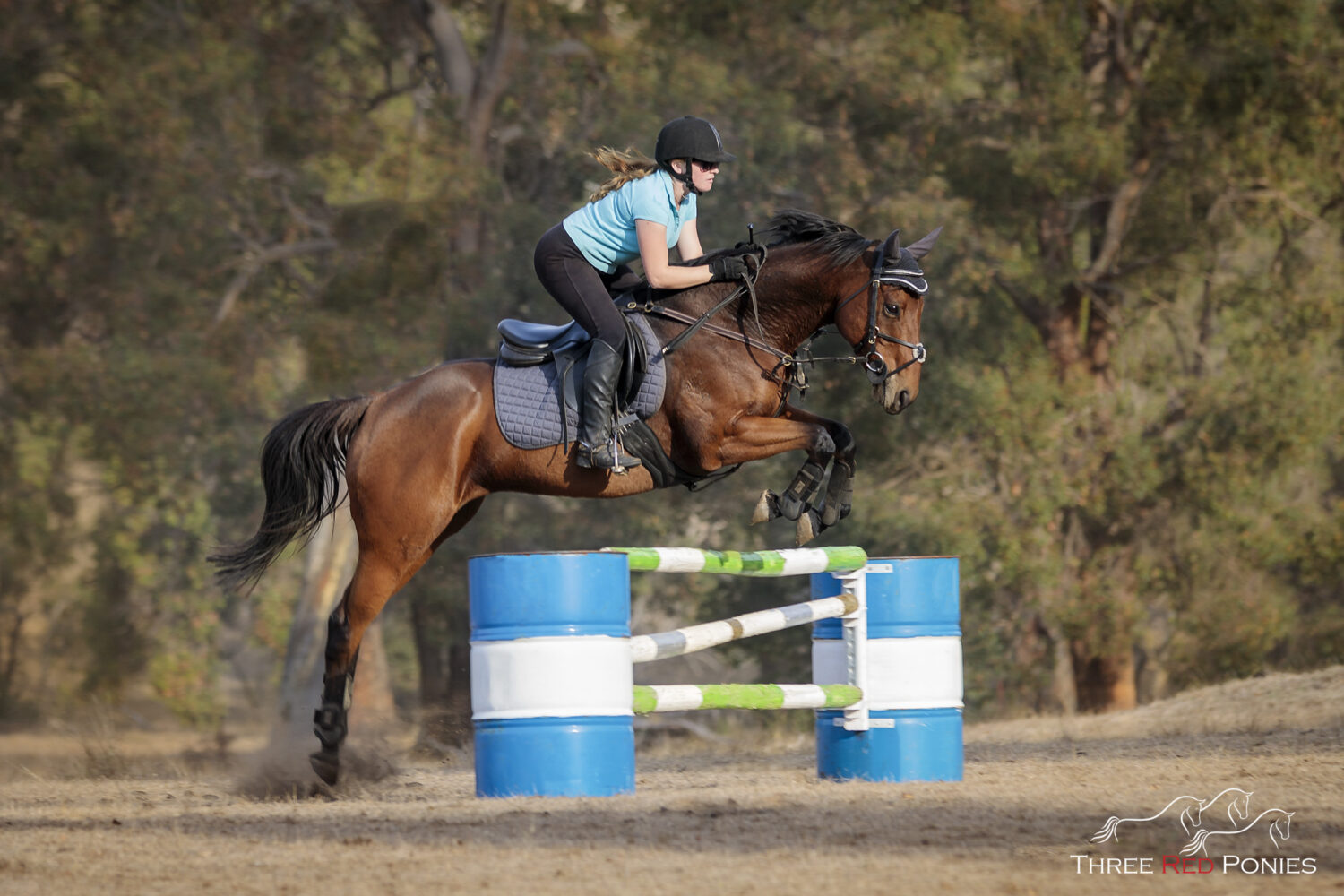 Horse and rider show jumping - equestrian photographer