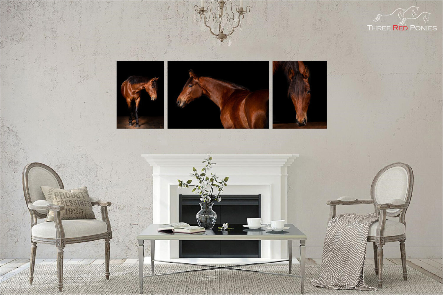 3 Piece Horse Studio Photography Wall Art - equestrian photographer