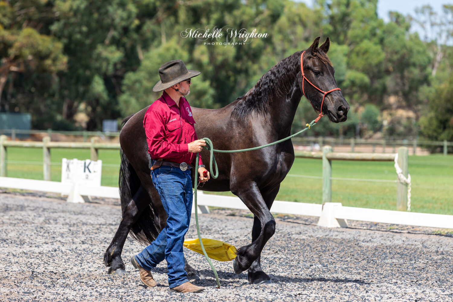 2019 Western Australia Friesian horse Keuring horsemanship display