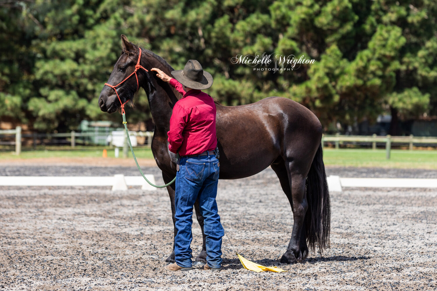 AMT Equestrian services horsemanship display 2019 Western Australia Friesian horse Keuring