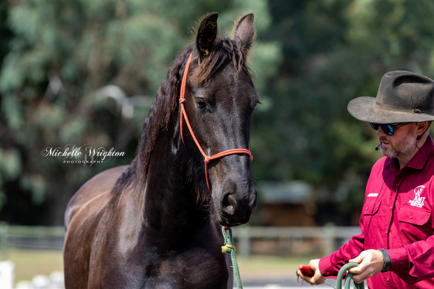 AMT Equestrian services horsemanship display 2019 Western Australia Friesian horse Keuring