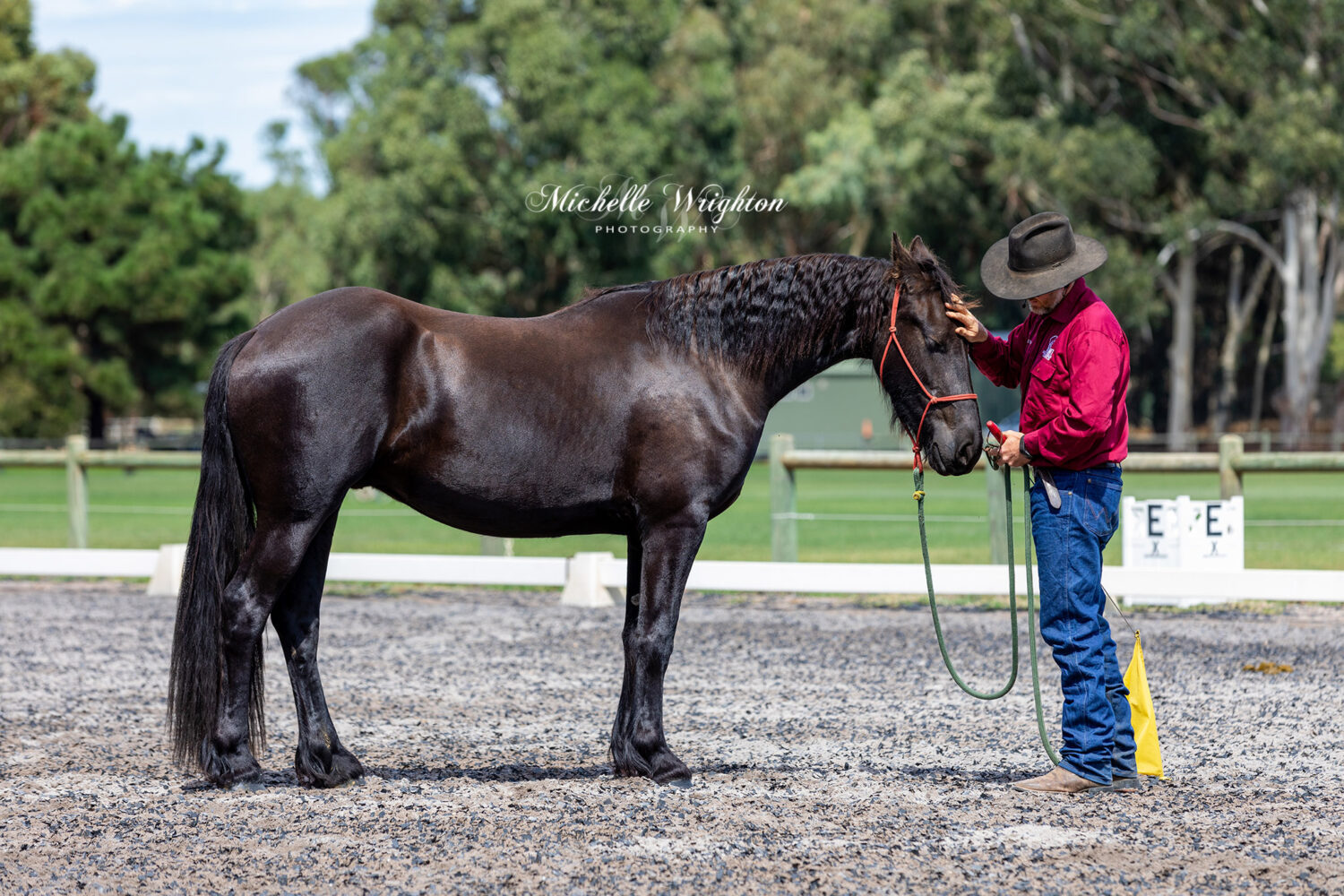 AMT Equestrian services horsemanship display 2019 Western Australia Friesian horse Keuring young horse training display