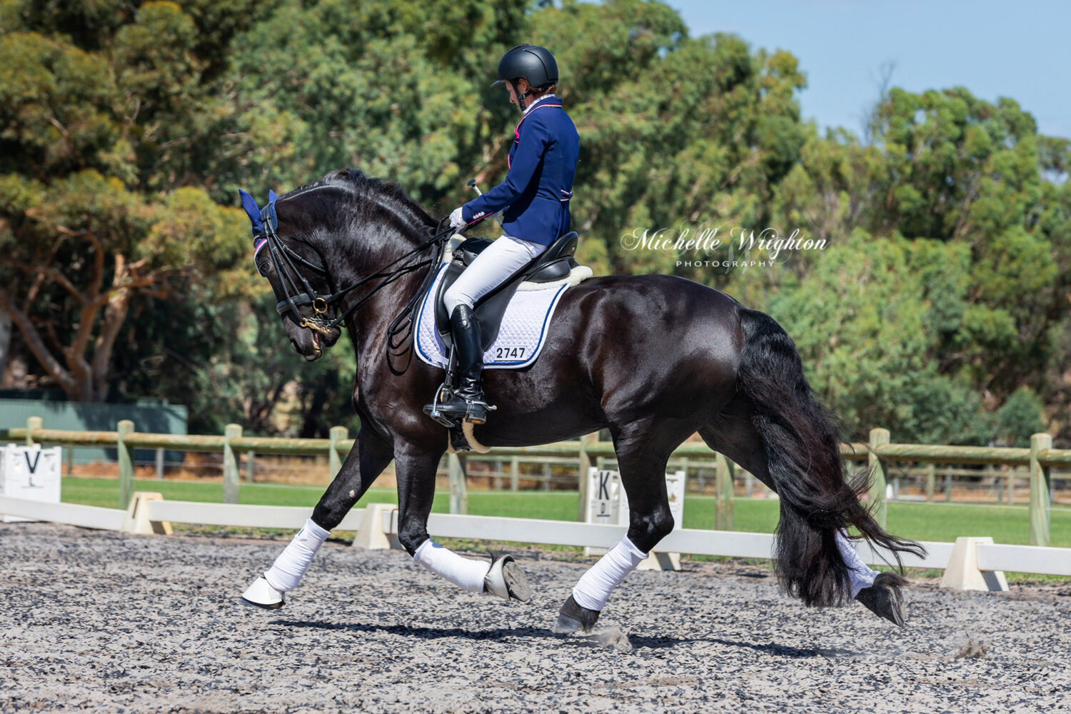 Freestyle Dressage Friesian Keuring Fenne S.R. of Kendal Park Friesians