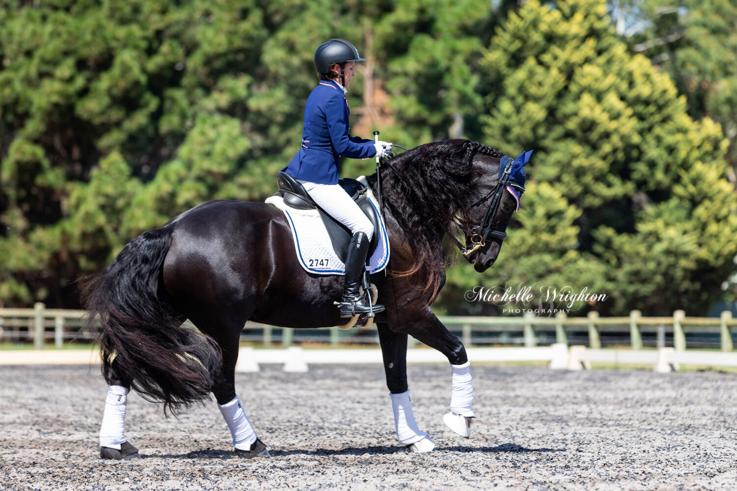 Freestyle Dressage Friesian Keuring Fenne S.R. of Kendal Park Friesians