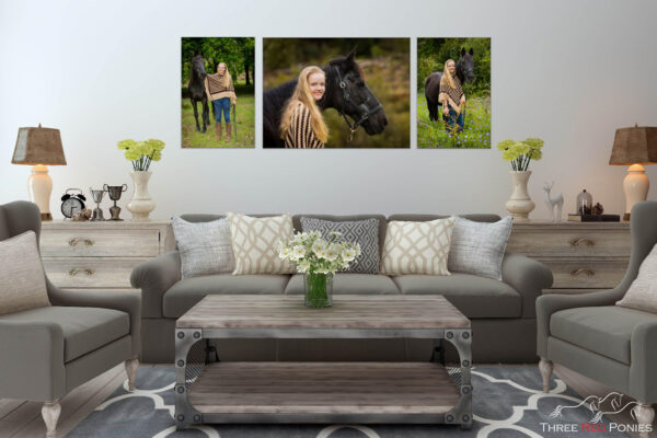Canvas wall art horse and girl lounge room decor - photographer finished artwork