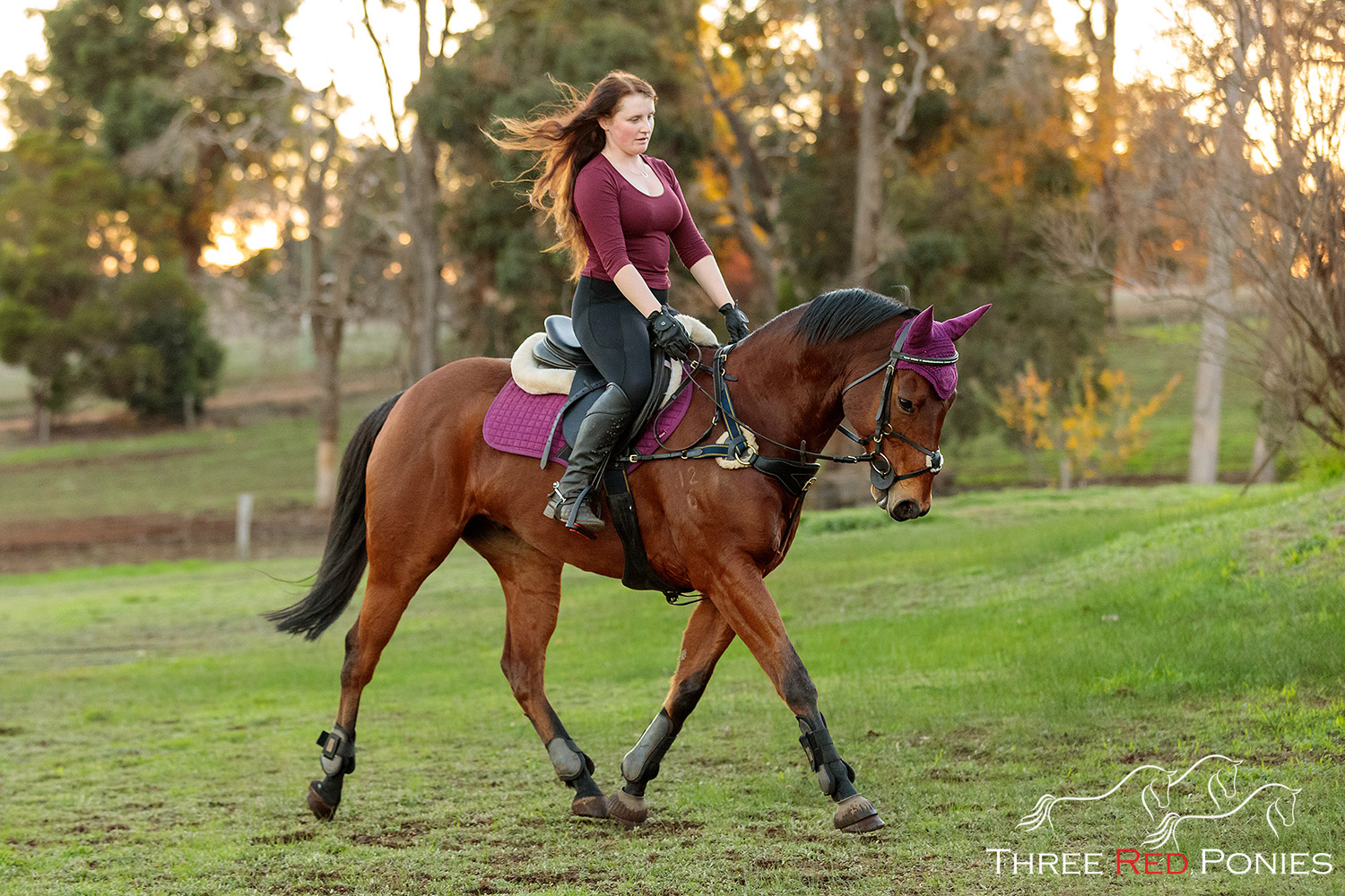 Girl riding trotting horse - horse photography