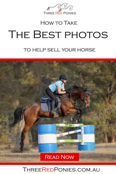 How to take the best photos to help sell your horse pinterest graphic