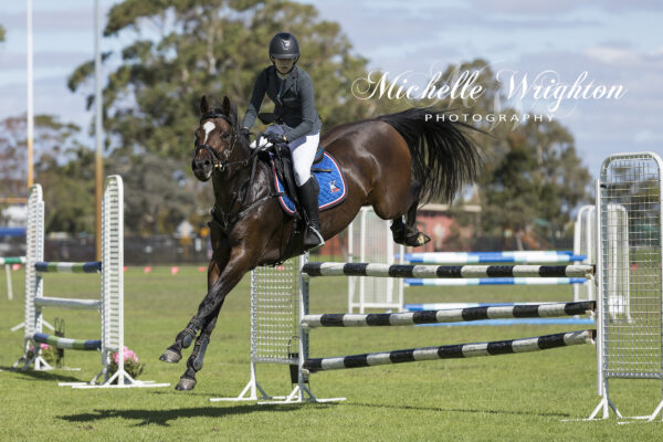Showjumping horse Bunbury agricultural show - equestrian photographer