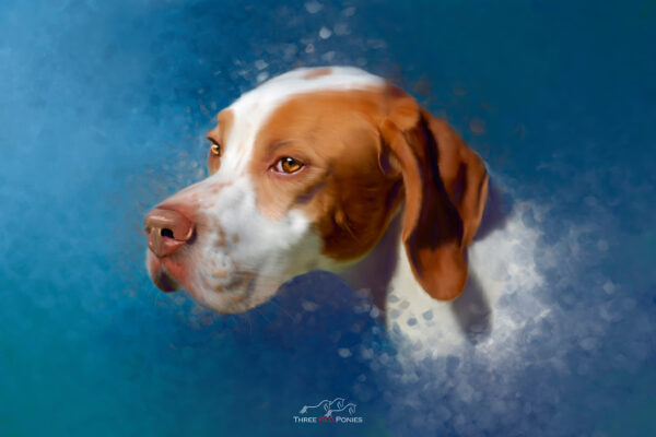 Pointer dog pet portrait painting - hand painted
