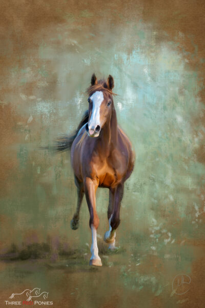 Custom painting of a Arabian horse trotting - horse painter
