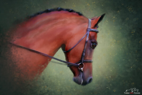 Painting of a bay pony - horse paintings