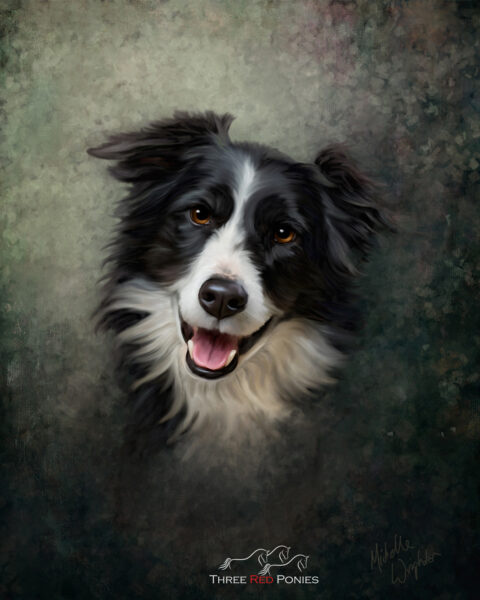 Bolt border collie painting - dog paintings