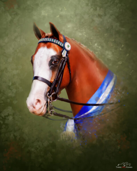 Chestnut champion horse painting - custom paintings