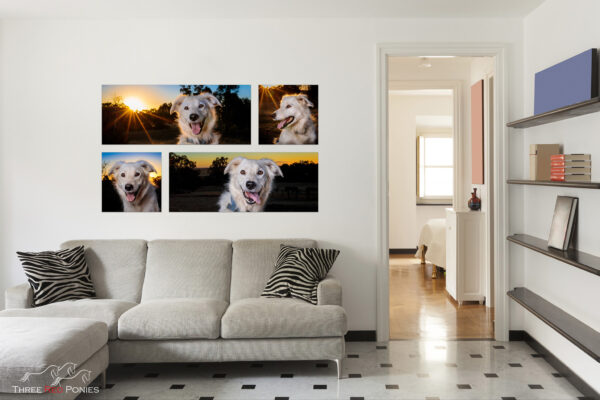 4 piece dog photo wall art