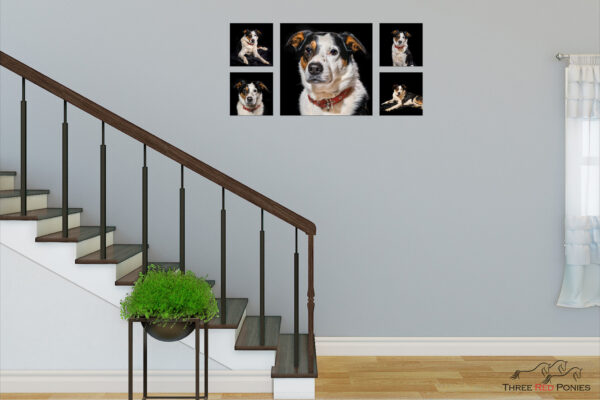 5 piece dog photo wall art collection