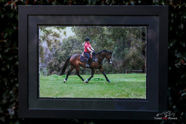 Fine Art framed horse and rider print - finished products