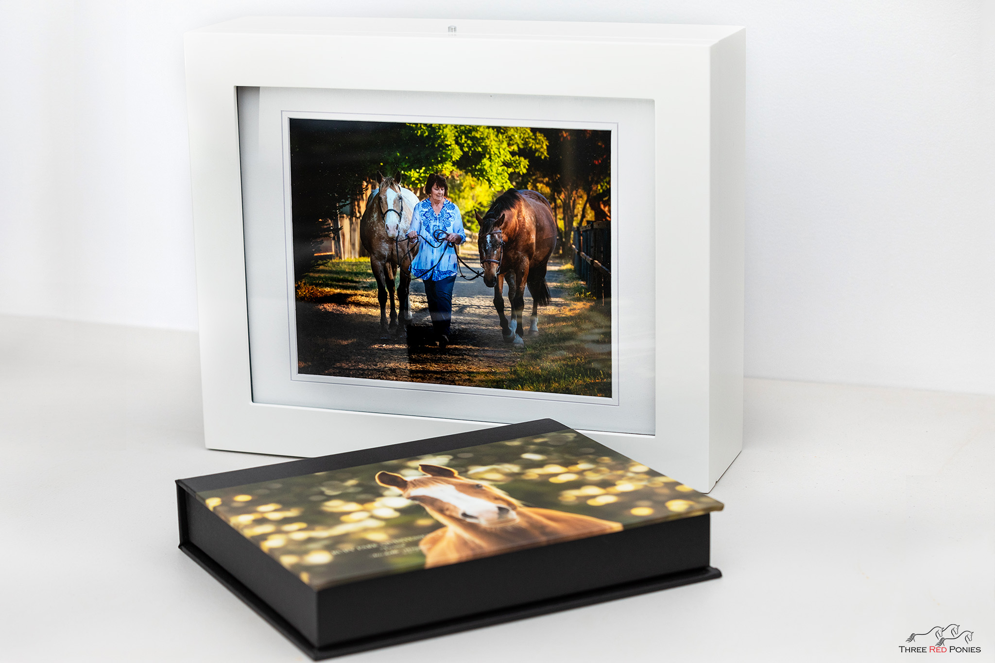 Three Red Ponies - Horse, Dog and Pet Photography Studio – Michelle ...